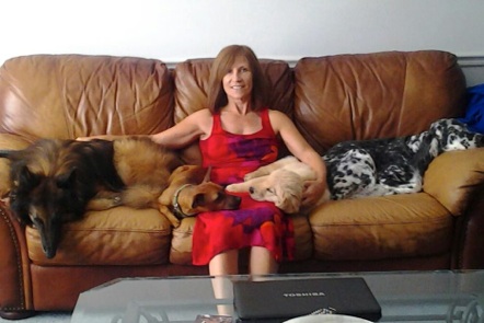 Lynn Robinson and her family and foster dogs.