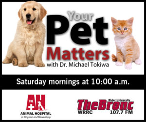 Your Pet Matters - Saturdays at 10 am 107.7 The Bronc