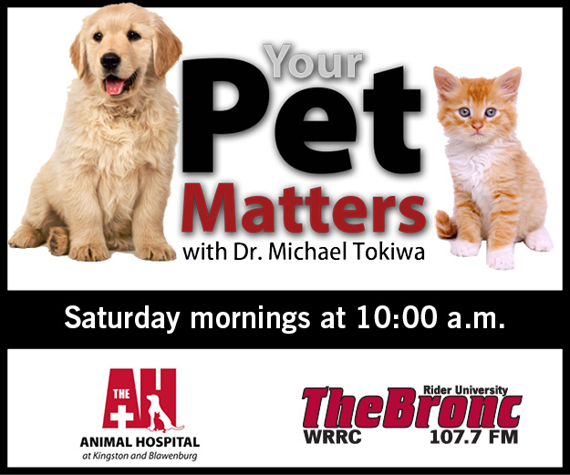 We are on the radio! We are on the radio!