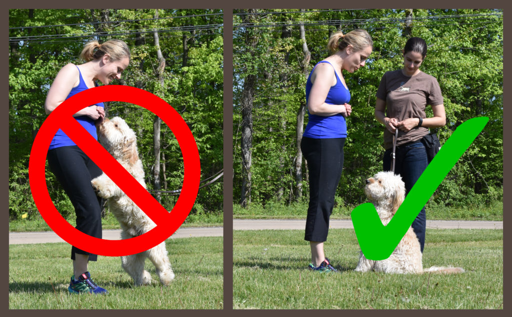 Put a Stop to Jumping Clinic Heavenly Hounds Training