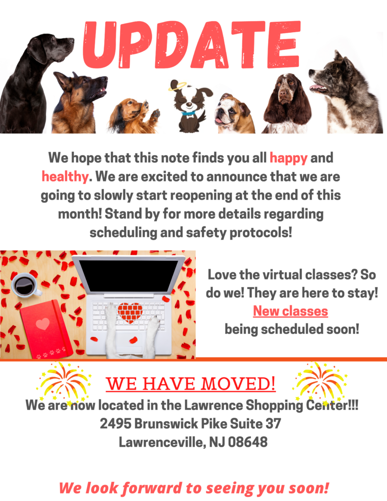 Heavenly Hounds Training Positive Training for your Companion Animal